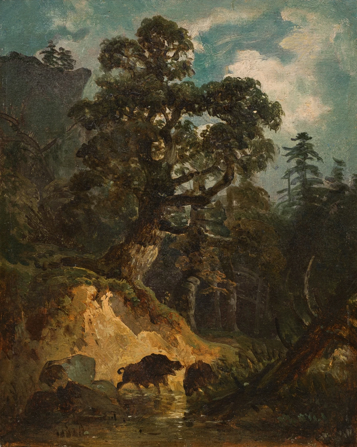 Paesaggio forestale con cinghiali